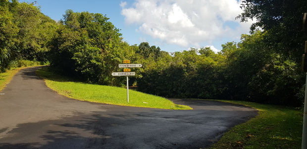 Chemin Marécage vers Piton Ste Rose