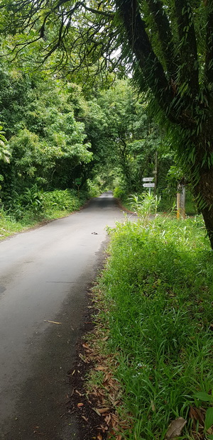 Chemin de l'Ilet Danclas