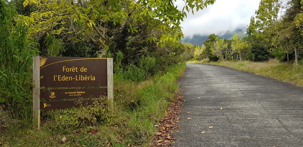 montée au belvédère de l'Eden par la forêt de l'Eden-Libéria