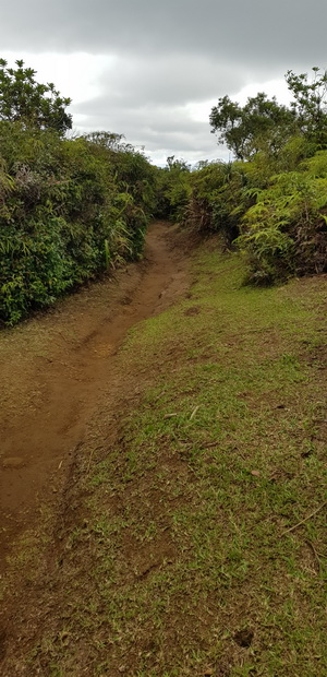 piste menant au belvédère