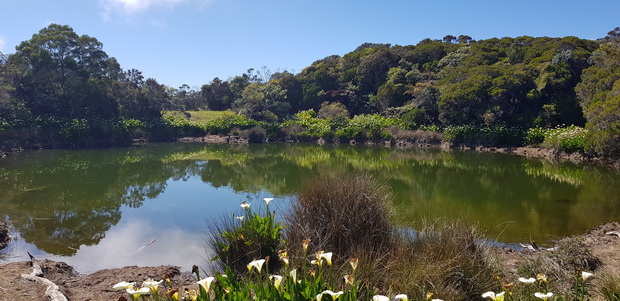 lac de cratère