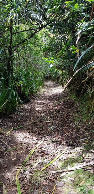 Sentier de l'Eden