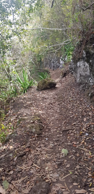 Sentier de Bord