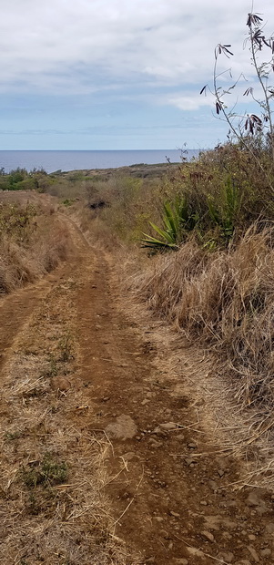 vers la route des Plages