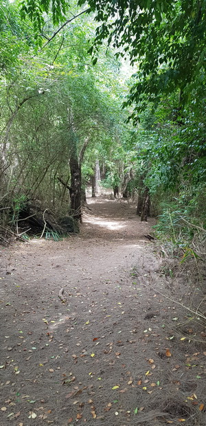 vers le Chemin Mare d'Affouche