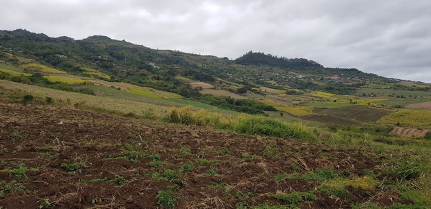 Piton la Boue de Maingard