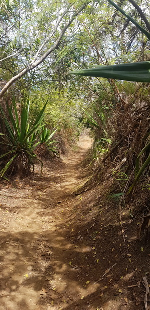 Sentier de Bord