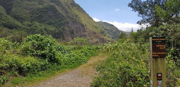 Chemin Mare d'Affouche vers le Piton d'Anchaing