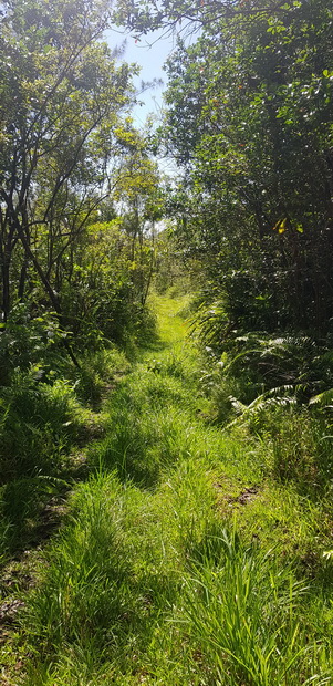 Chemin de l'Indivis