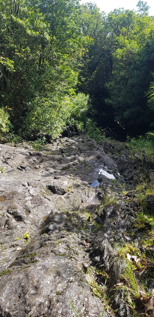 ravine de Bois Blanc