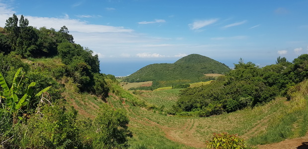 Anse les Hauts: Allée des Muguets vue sur le Piton de Mont Vert