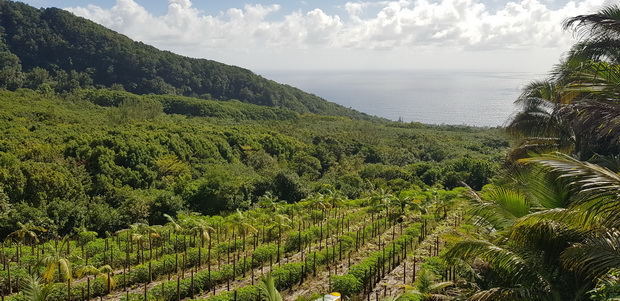 Chemin de l'Indivis