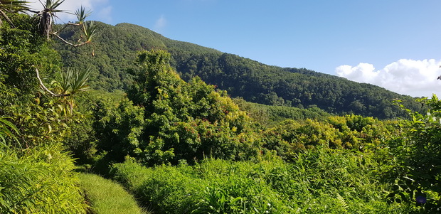 Chemin de l'Indivis