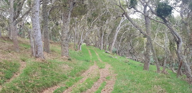 Chemin Mondon propriété Maudan sentier privée