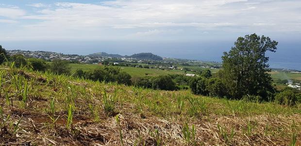 du sommet du Piton Isautier