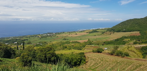 du sommet du Piton Isautier