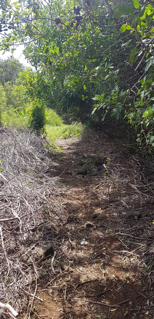 vers le Chemin du milieu