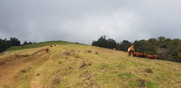 Chemin Mondon propriété Mautan sentier privé