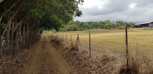 Chemin de la Falaise