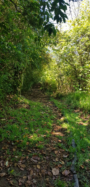 sentier aux nombreuses marches