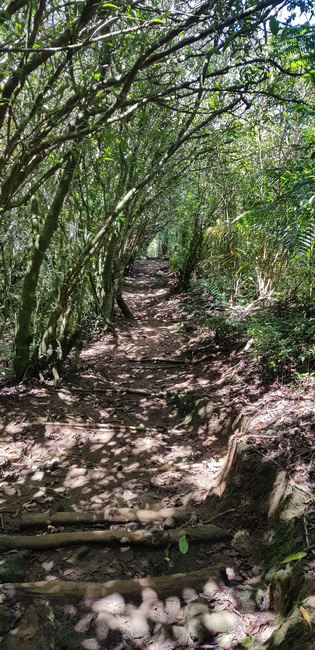 sentier aux nombreuses marches