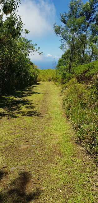 Chemin de l'Armée