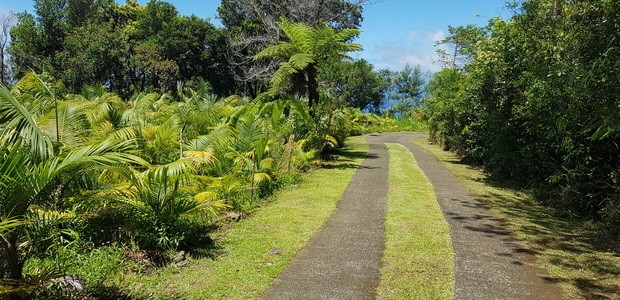 chemin de l'armée