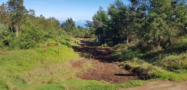 Piste forestière Simambry