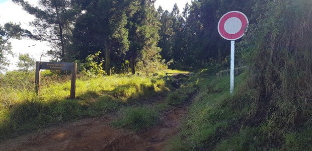 Piste forestière Calebasse